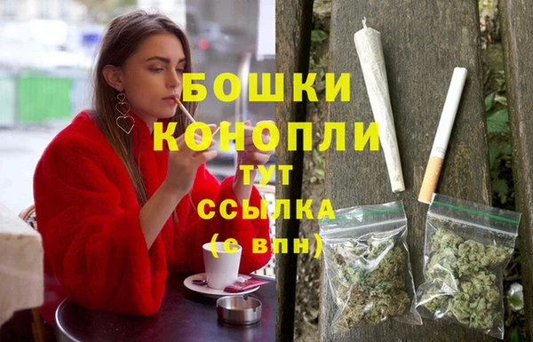 гидра Белокуриха
