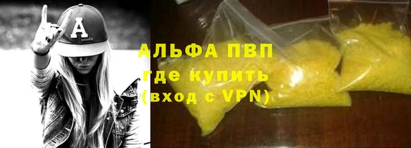 гидра Белокуриха
