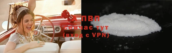 гидра Белокуриха