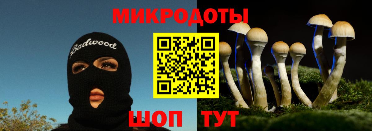 Улан-Удэ  наркота  Вход с VPN  Псилоцибиновые грибы мухоморы 